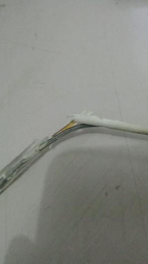 I have no idea why this keeps happening to my ipad cables. (Probably not rats, no other cables are affected)