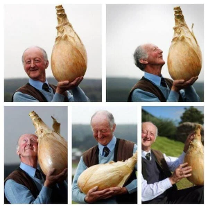 Whenever you’re sad, just think about how happy this man is with his onion. (MT @kaiitlin)