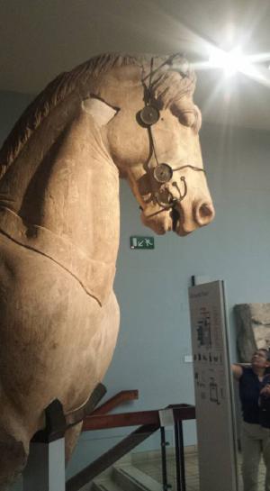 A horse sculpture recovered from the Mausoleum of Halikarnassos