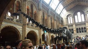 Diplodocus/Sludge (okay, Sludge is actually an Apatosaurus, but this was the closest one)