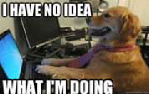 Sometimes you just stop and realise you have no idea what the hell you’re doing