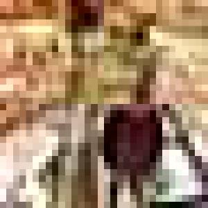 I accidentally upgraded my iPad to IOS9. I have no idea what changes there are, but everything feels same-y. Anything I should look out for?