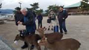 Maybe people who get angry at others not liking their work or their arguments should stay off the internet until they learn to chill