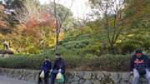 Maybe people who get angry at others not liking their work or their arguments should stay off the internet until they learn to chill