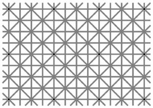 are you able to see all 12 black dots at the same time?