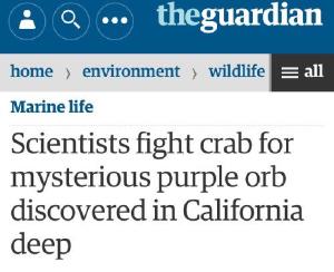RT @SciencePorn: This…….. is the best headline