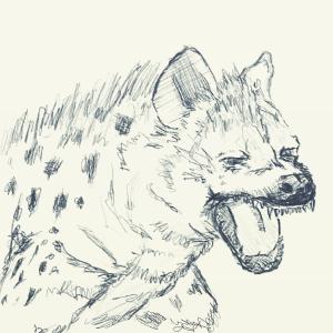 Hyena #sketchdaily