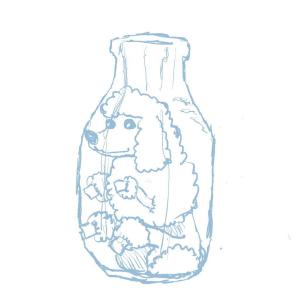 Poodle in a bottle #sketchdaily (not everything has to make sense)