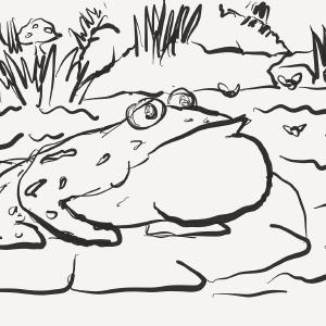 Swamp frog #sketchdaily #paperbyfiftythree