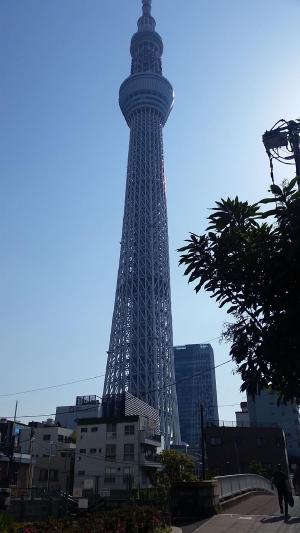 This is a picture of the Tokyo Skytree