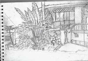 pencil sketch