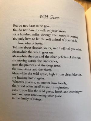 The last, not least, the late, the missed, the master, Mary Oliver. #WorldPoetryDay