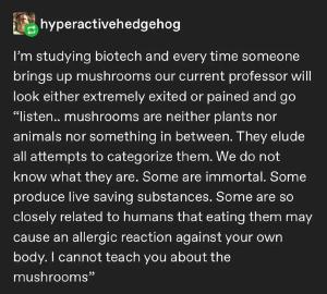 The only thing more terrifying than horses on Tumblr is mushrooms on Tumblr