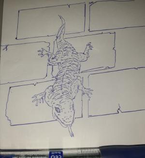 Wall lizard #sketchdaily 37/365