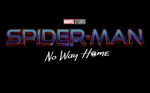 Disappointed that they didn’t go with my suggestion of “Spider-man: Home Along Da Riles”
Quoted verge's tweet:   The next Spider-Man movie will be titled Spider-Man: No Way Home https://trib.al/EwukXbI  