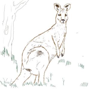 Some kind of kangaroo #sketchdaily 68/365